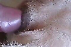 Bestiality and ZOO porn video